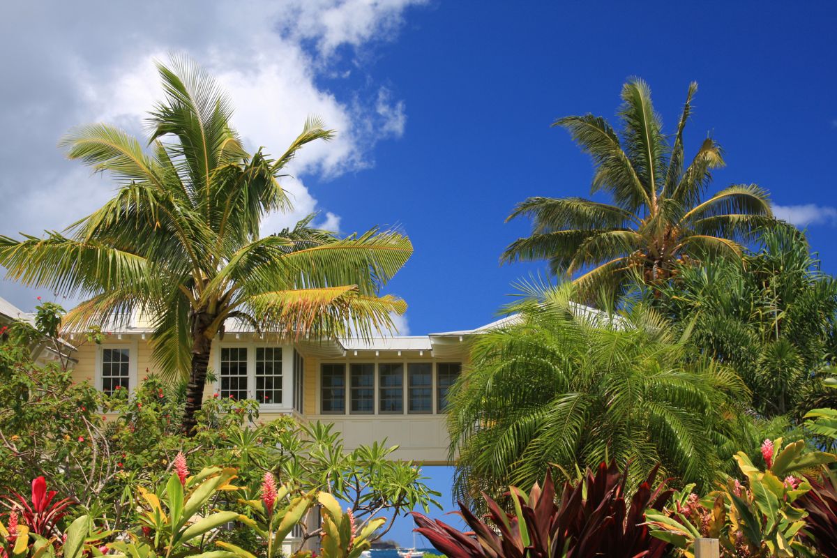 Midcentury Modern home style in Hawaii